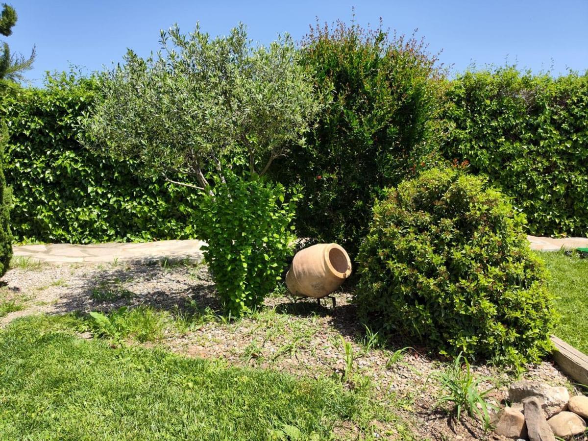 Villa San Julian Estarondo à Tudela Extérieur photo